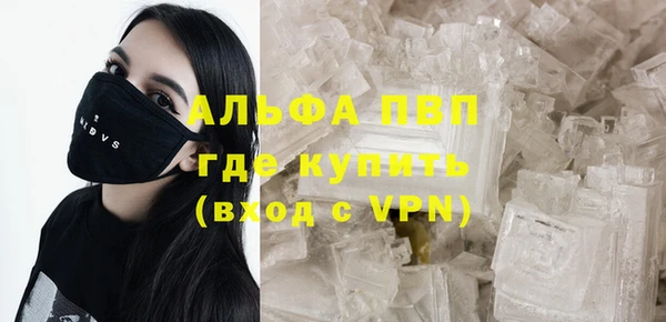 ПСИЛОЦИБИНОВЫЕ ГРИБЫ Абаза