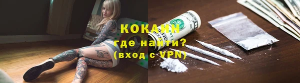 ПСИЛОЦИБИНОВЫЕ ГРИБЫ Абаза