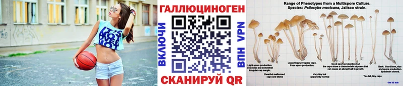 Псилоцибиновые грибы Magic Shrooms мега ТОР Касимов