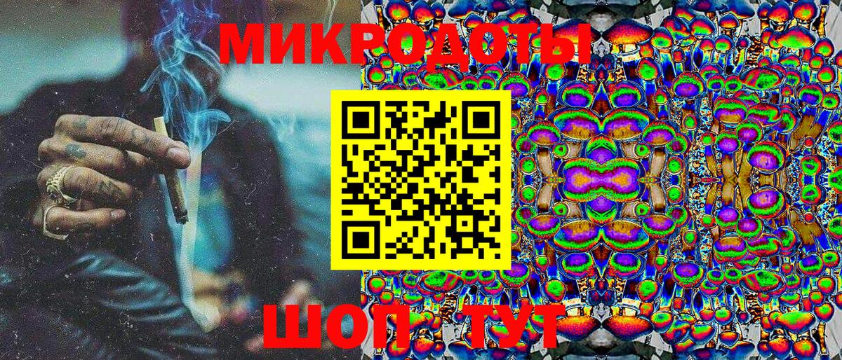 Псилоцибиновые грибы Psilocybe Касимов