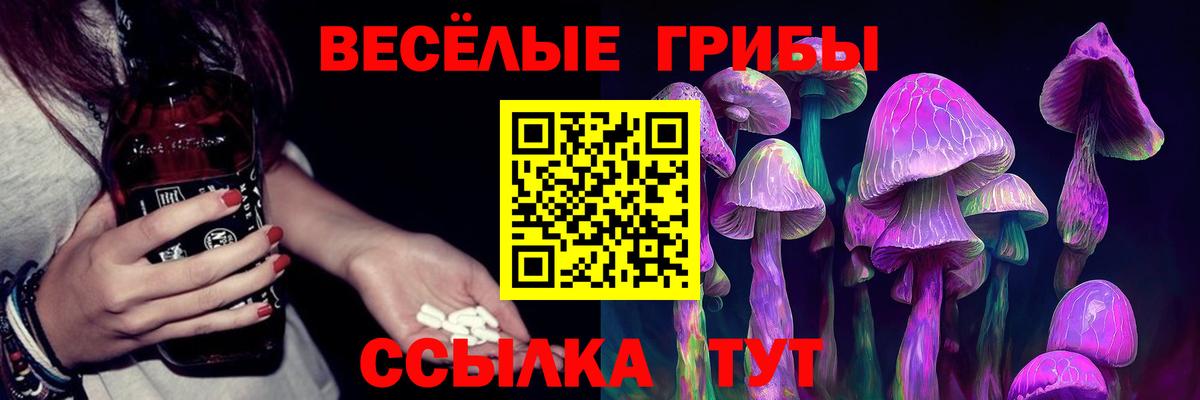 Псилоцибиновые грибы мухоморы  дарнет шоп  Касимов  Вход с VPN 