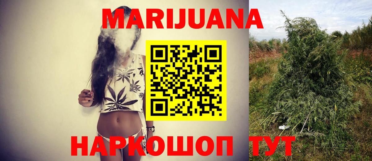 Конопля планчик Касимов